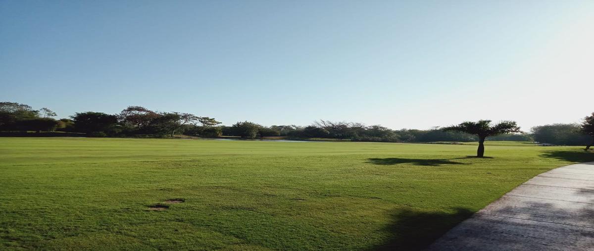 Foto de terreno habitacional en , yucatán country club, mérida, yucatán, 28195140 foto 02 Foto de terreno habitacional en venta en , yucatán country club, mérida, yucatán, 28195140 No. 02