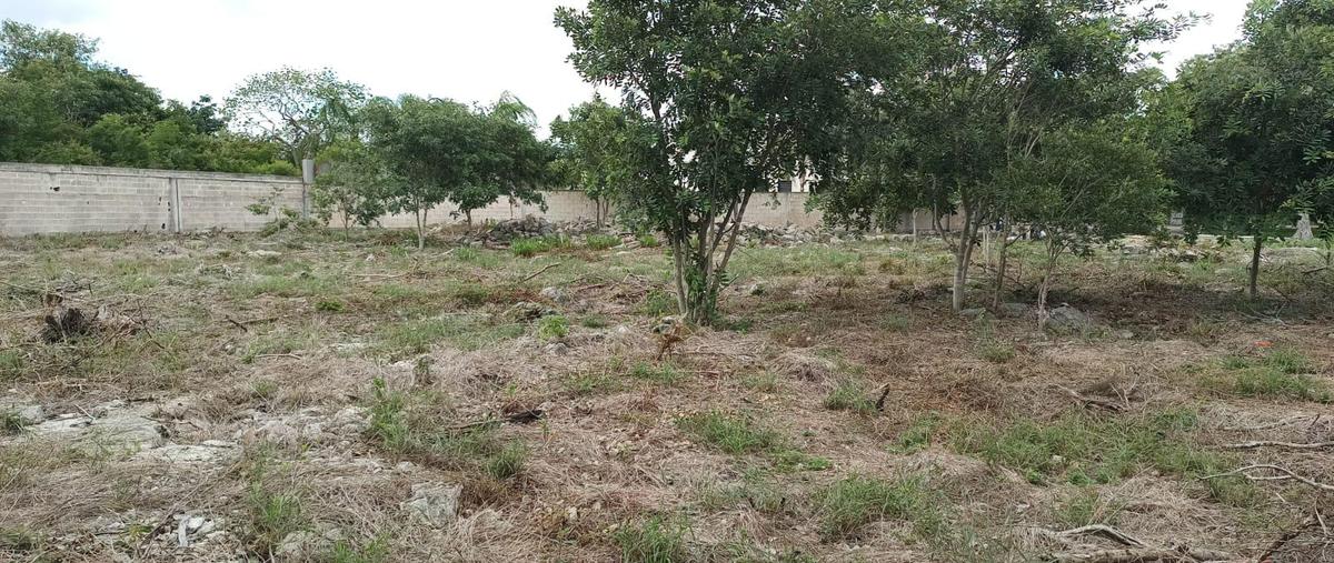 Foto de terreno habitacional en venta en  , yucatán country club, mérida, yucatán, 0 No. 04