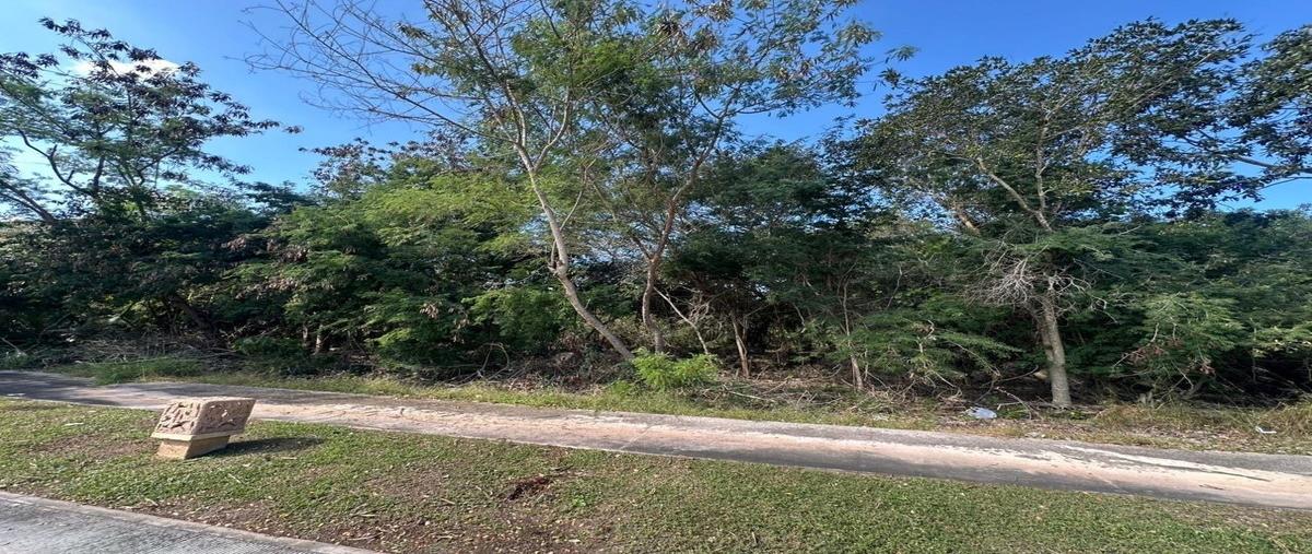 Foto de terreno habitacional en venta en  , yucatán country club, mérida, yucatán, 0 No. 03