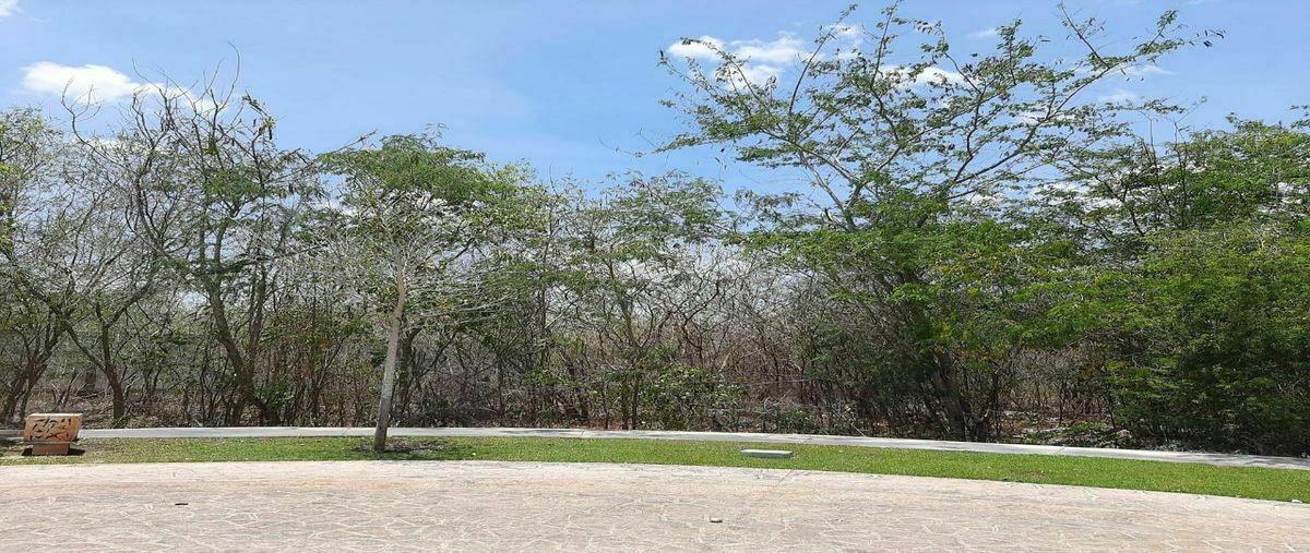 Foto de terreno habitacional en venta en  , yucatán country club, mérida, yucatán, 0 No. 03