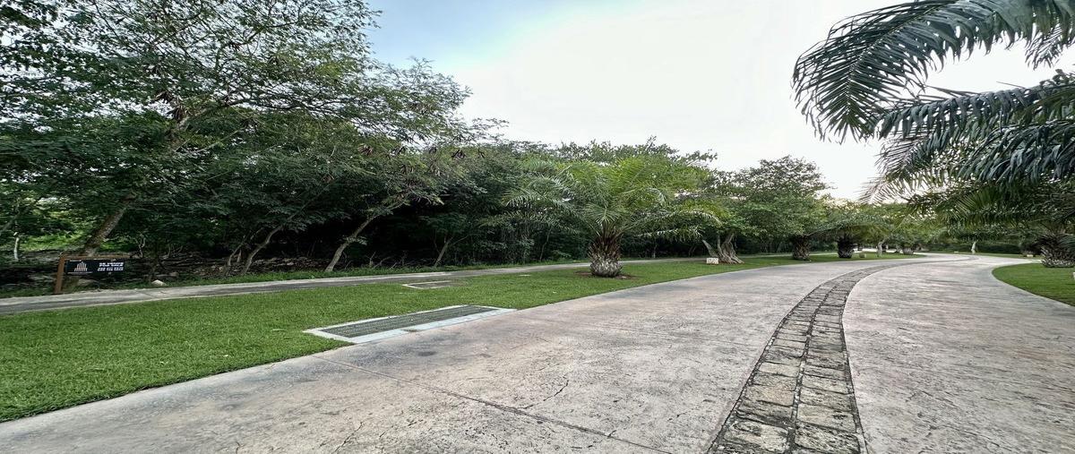 Foto de terreno habitacional en , yucatán country club, mérida, yucatán, 30108148 foto 03 Foto de terreno habitacional en venta en , yucatán country club, mérida, yucatán, 30108148 No. 03