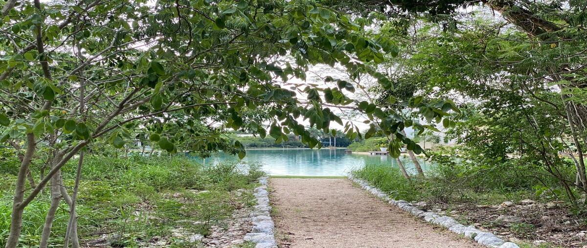 Foto de terreno habitacional en , yucatán country club, mérida, yucatán, 30117108 foto 01 Foto de terreno habitacional en venta en , yucatán country club, mérida, yucatán, 30117108 No. 01