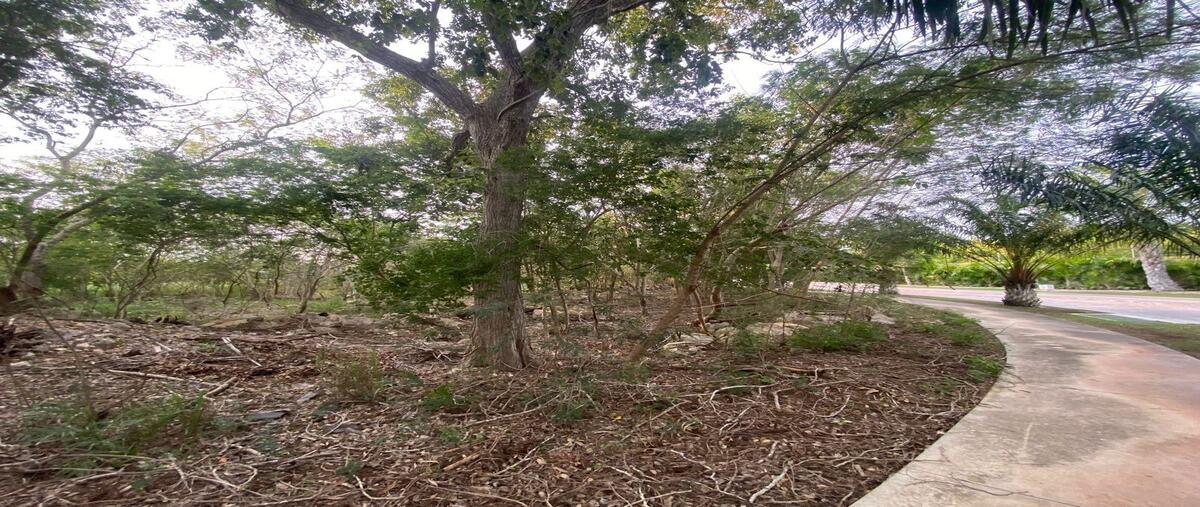 Foto de terreno habitacional en , yucatán country club, mérida, yucatán, 30117108 foto 02 Foto de terreno habitacional en venta en , yucatán country club, mérida, yucatán, 30117108 No. 02