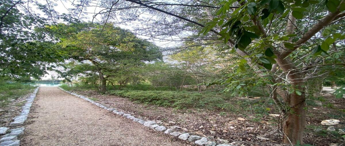 Foto de terreno habitacional en , yucatán country club, mérida, yucatán, 30117108 foto 04 Foto de terreno habitacional en venta en , yucatán country club, mérida, yucatán, 30117108 No. 04