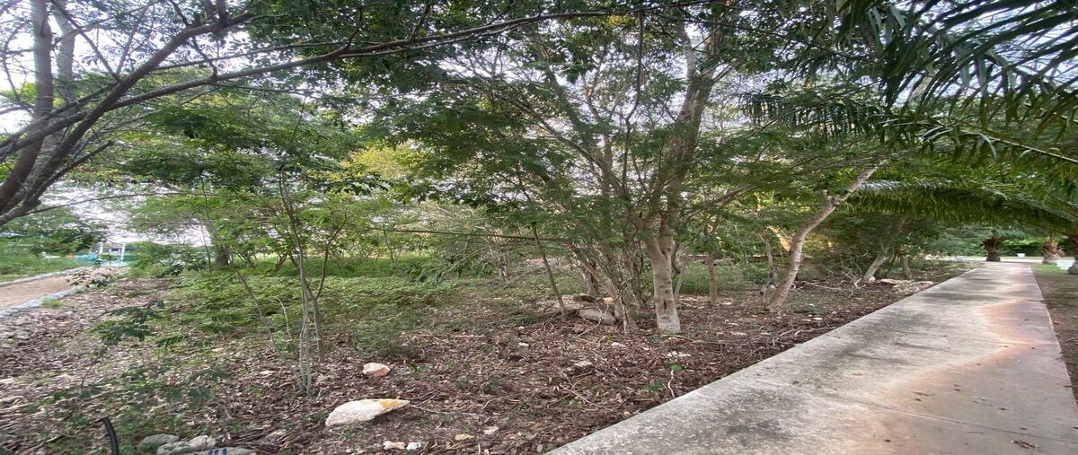 Foto de terreno habitacional en , yucatán country club, mérida, yucatán, 30117108 foto 05 Foto de terreno habitacional en venta en , yucatán country club, mérida, yucatán, 30117108 No. 05