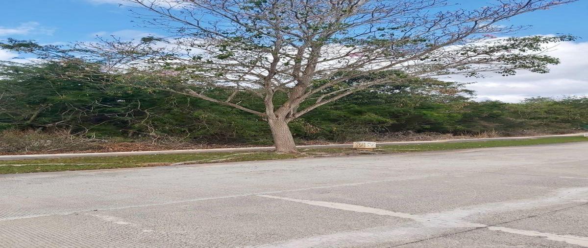 Foto de terreno habitacional en venta en  , yucatán country club, mérida, yucatán, 30147452 No. 03