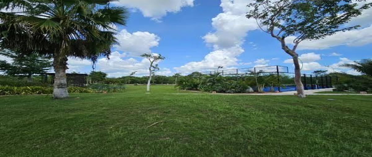 Foto de terreno habitacional en venta en  , yucatán country club, mérida, yucatán, 30147453 No. 05
