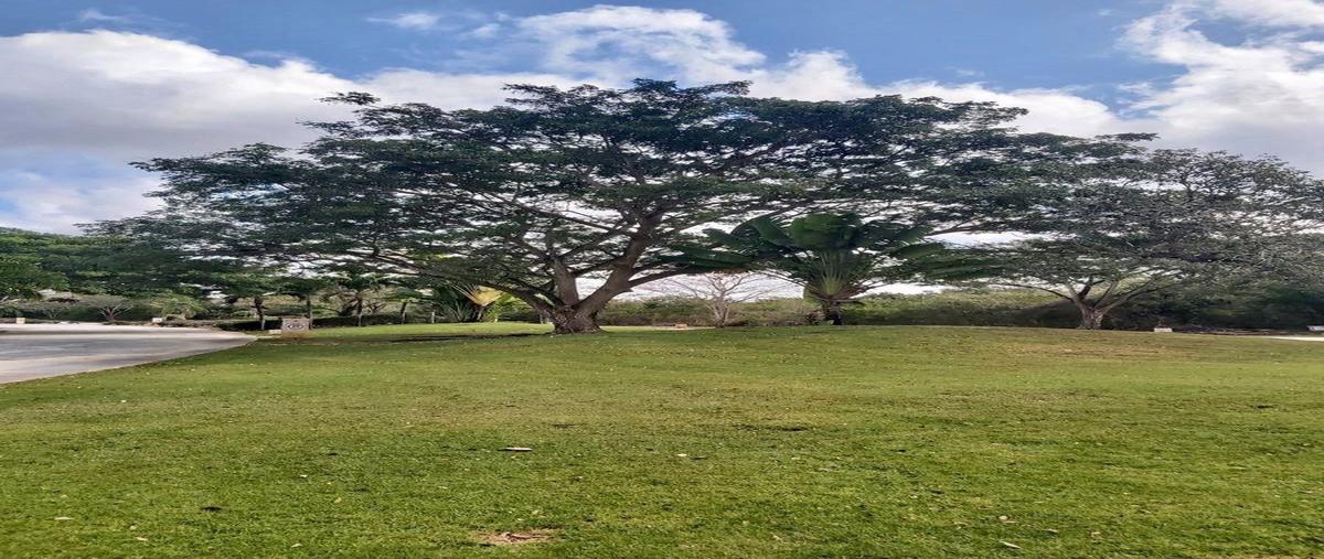 Foto de terreno habitacional en venta en  , yucatán country club, mérida, yucatán, 30147587 No. 03