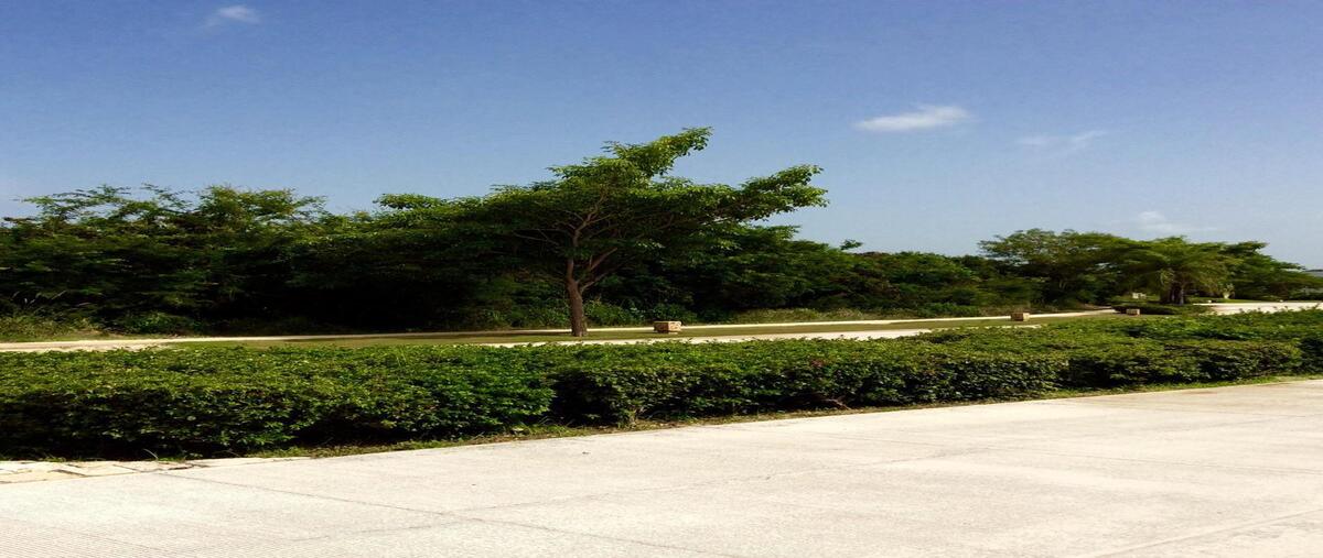 Foto de terreno habitacional en , yucatán country club, mérida, yucatán, 0 foto 04 Foto de terreno habitacional en venta en , yucatán country club, mérida, yucatán, 0 No. 04