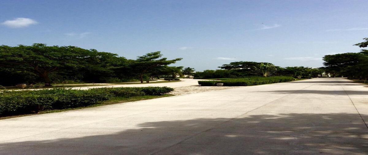 Foto de terreno habitacional en , yucatán country club, mérida, yucatán, 0 foto 05 Foto de terreno habitacional en venta en , yucatán country club, mérida, yucatán, 0 No. 05