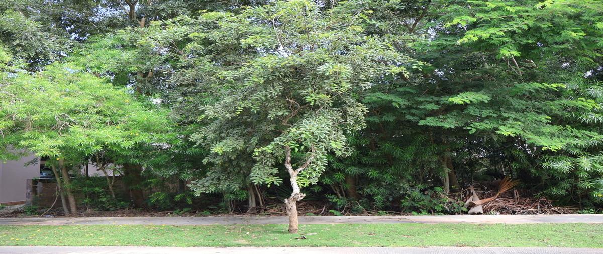 Foto de terreno habitacional en venta en  , yucatán country club, mérida, yucatán, 0 No. 03