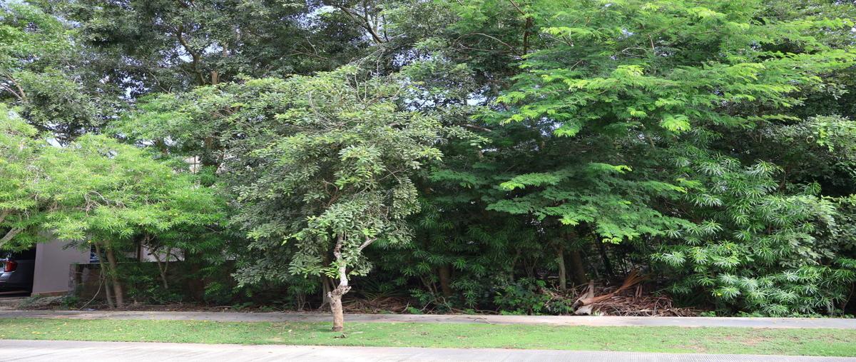 Foto de terreno habitacional en venta en  , yucatán country club, mérida, yucatán, 0 No. 04