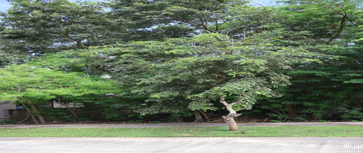 Foto de terreno habitacional en venta en  , yucatán country club, mérida, yucatán, 0 No. 05