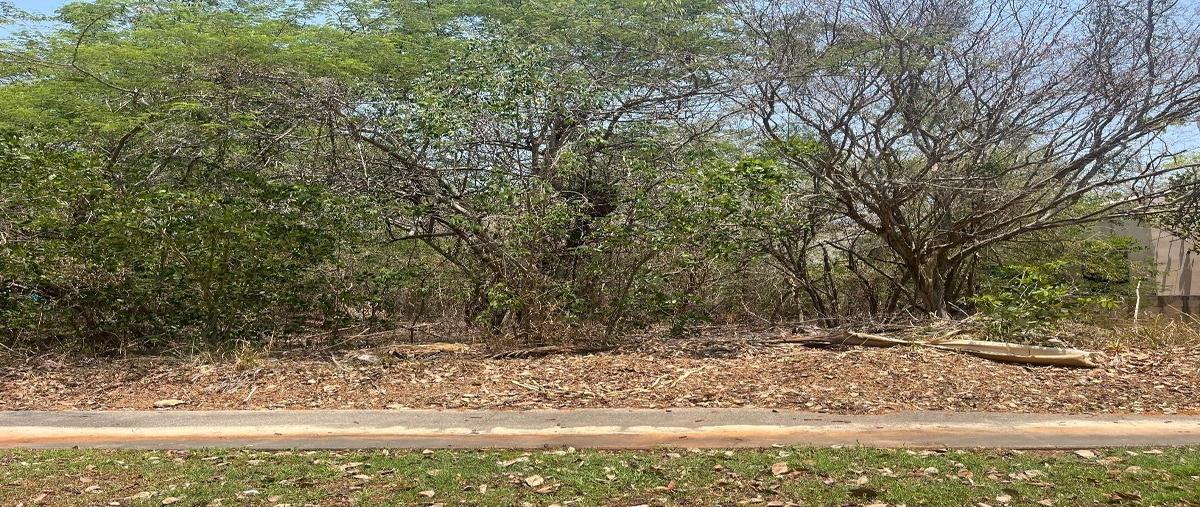 Foto de terreno habitacional en venta en  , yucatán country club, mérida, yucatán, 0 No. 04