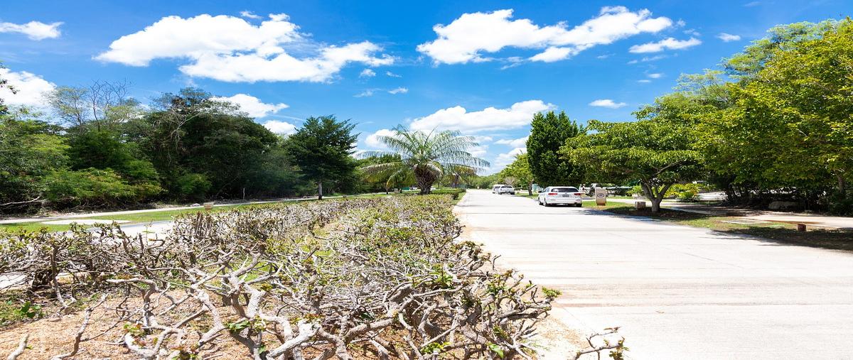 Foto de terreno habitacional en , yucatán country club, mérida, yucatán, 0 foto 04 Foto de terreno habitacional en venta en , yucatán country club, mérida, yucatán, 0 No. 04