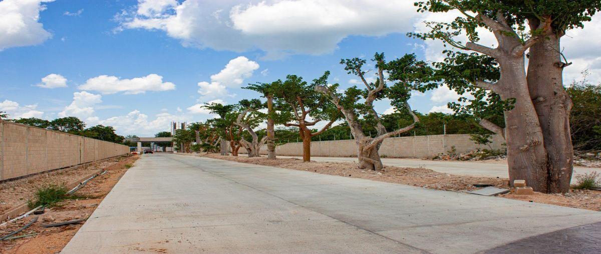 Foto de terreno habitacional en venta en  , yucatán country club, mérida, yucatán, 30710720 No. 04