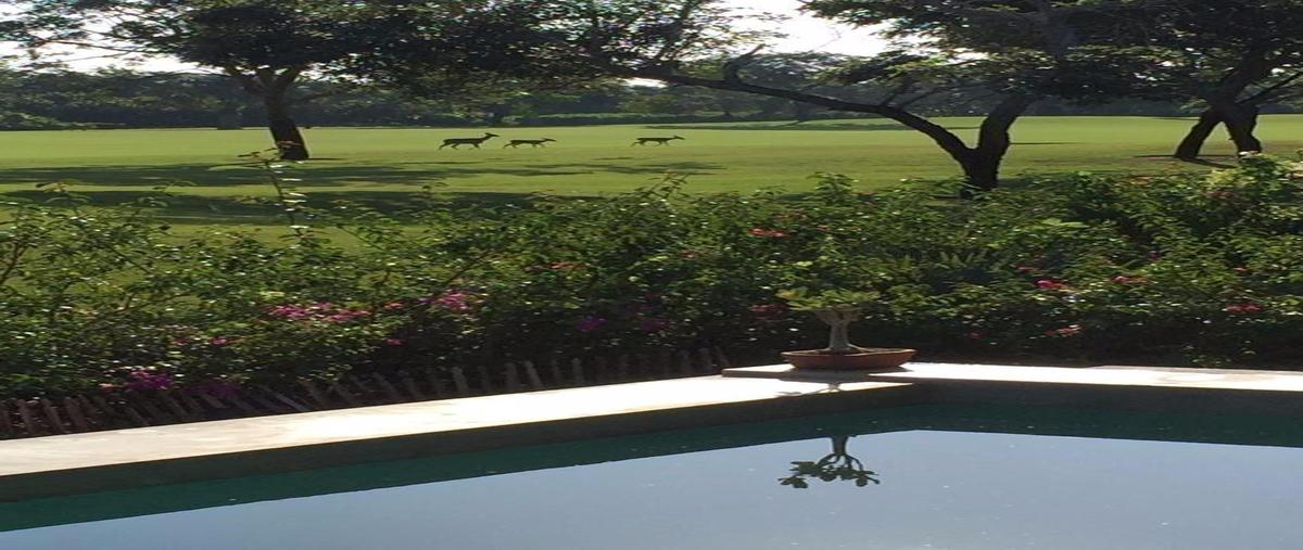 Foto de casa en , yucatán country club, mérida, yucatán, 30710761 foto 05 Foto de casa en venta en , yucatán country club, mérida, yucatán, 30710761 No. 05
