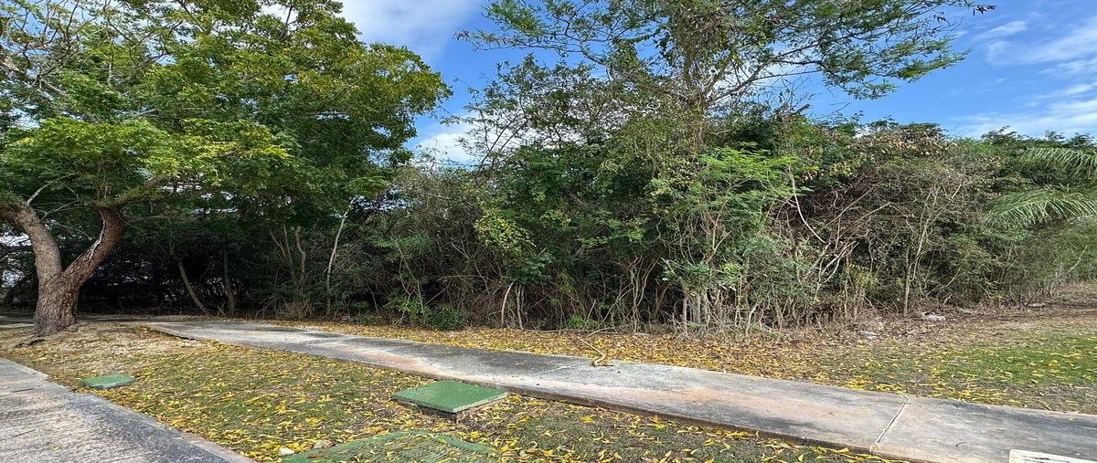 Foto de terreno habitacional en venta en  , yucatán country club, mérida, yucatán, 0 No. 04