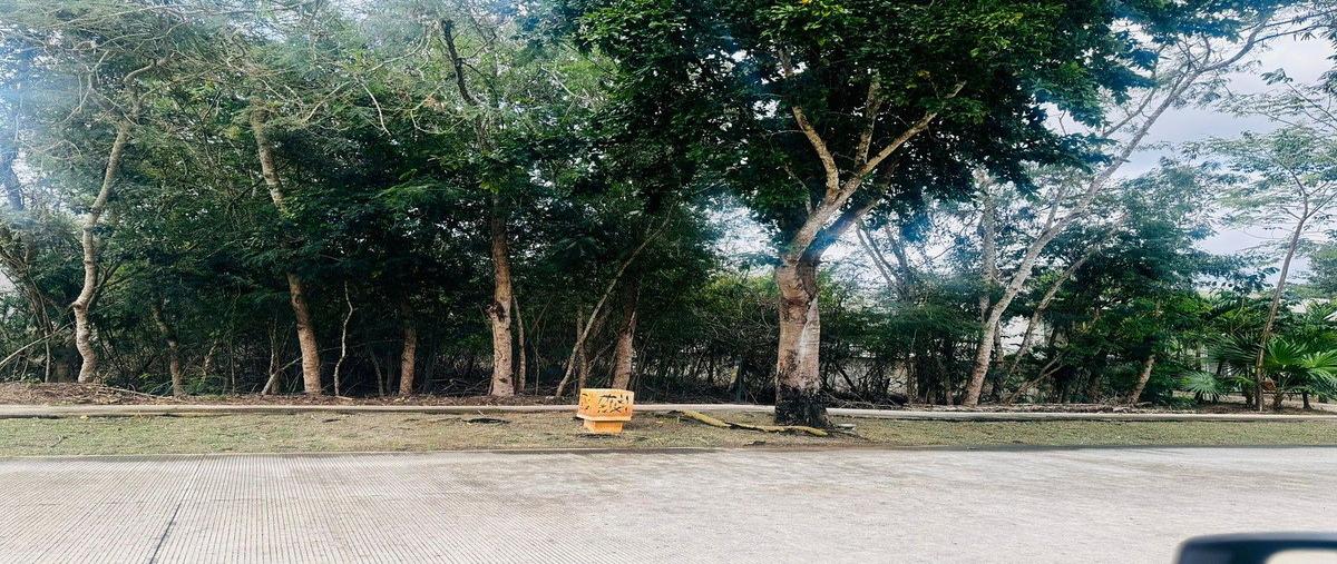 Foto de terreno habitacional en , yucatán country club, mérida, yucatán, 0 foto 01 Foto de terreno habitacional en venta en , yucatán country club, mérida, yucatán, 0 No. 01