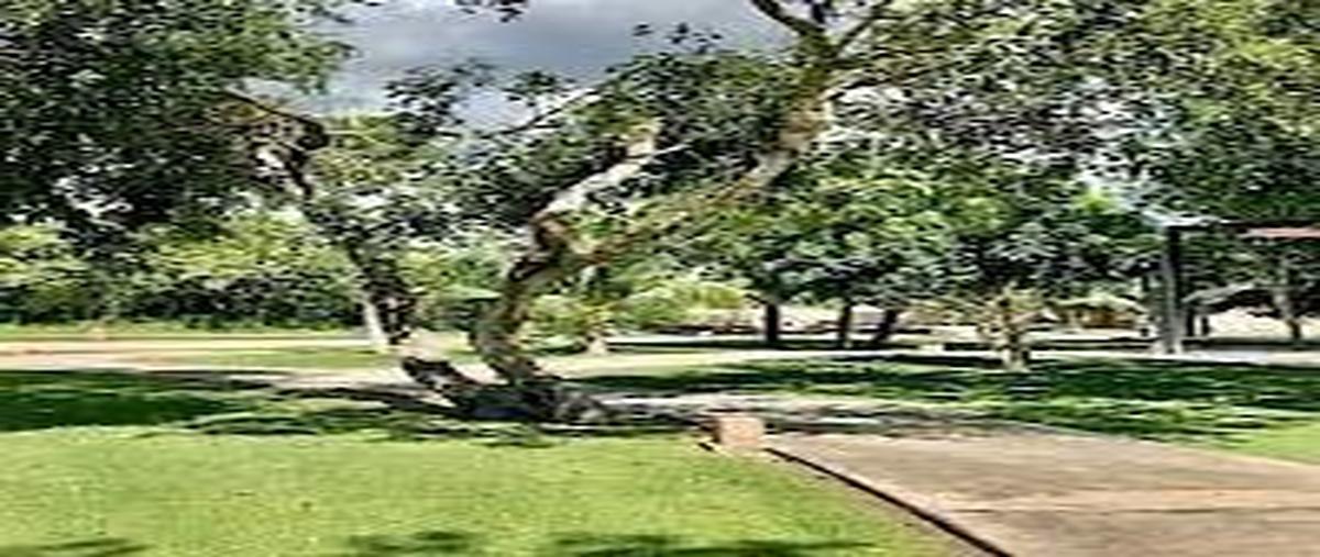 Foto de casa en renta en  , yucatán country club, mérida, yucatán, 0 No. 04