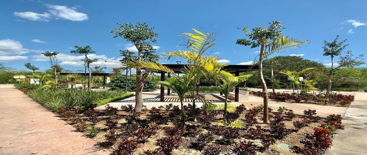 Foto de terreno habitacional en , yucatán country club, mérida, yucatán, 0 foto 03 Foto de terreno habitacional en venta en , yucatán country club, mérida, yucatán, 0 No. 03