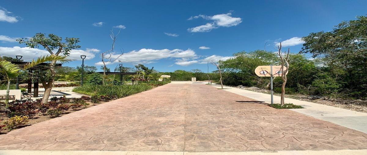 Foto de terreno habitacional en , yucatán country club, mérida, yucatán, 0 foto 07 Foto de terreno habitacional en venta en , yucatán country club, mérida, yucatán, 0 No. 07