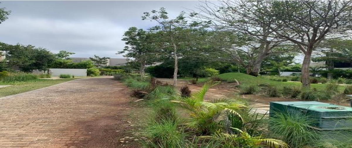 Foto de terreno habitacional en venta en  , yucatán country club, mérida, yucatán, 0 No. 05