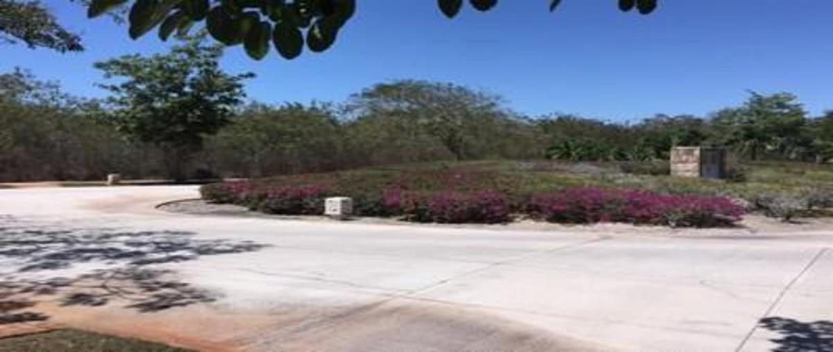 Foto de terreno habitacional en , yucatán country club, mérida, yucatán, 8471825 foto 04 Foto de terreno habitacional en venta en , yucatán country club, mérida, yucatán, 8471825 No. 04