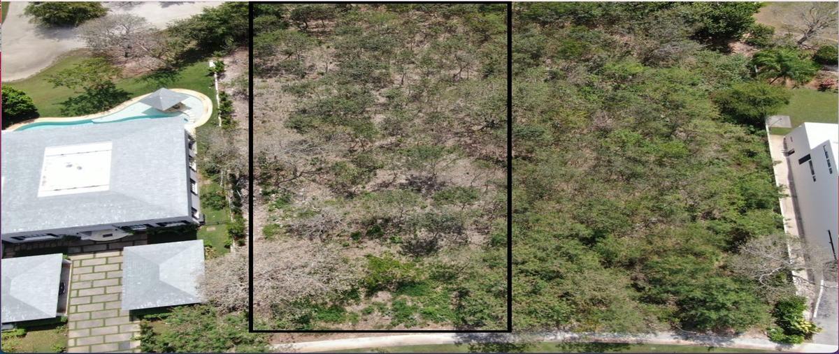 Foto de terreno habitacional en yucatan country club , yucatán country club, mérida, yucatán, 23461003 foto 03 Foto de terreno habitacional en venta en yucatan country club , yucatán country club, mérida, yucatán, 23461003 No. 03