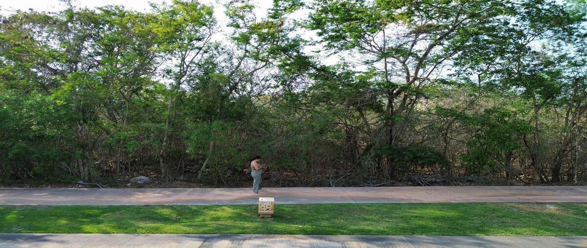 Foto de terreno habitacional en venta en yucatan country club , yucatán country club, mérida, yucatán, 30641128 No. 04