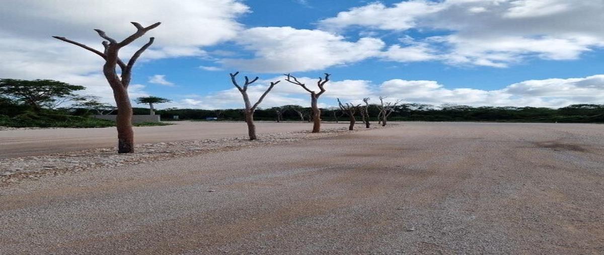 Foto de terreno habitacional en venta en yucatán , dzitya, mérida, yucatán, 27800952 No. 04