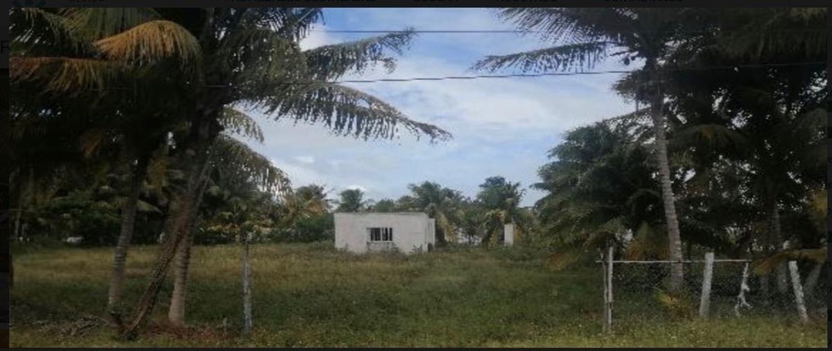 Foto de terreno habitacional en venta en yucatán , felipe carrillo puerto nte, mérida, yucatán, 29022205 No. 03