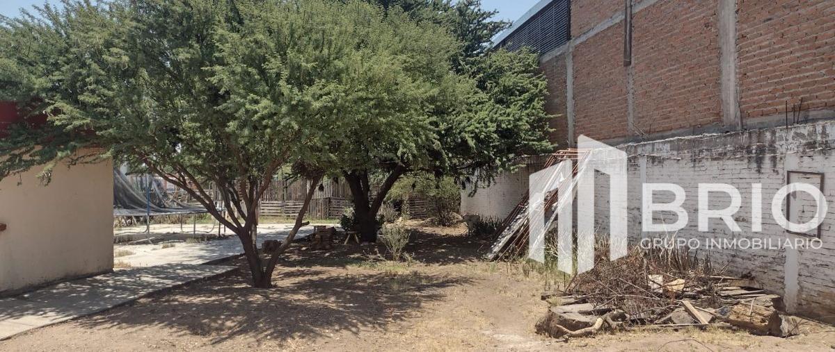 Foto de terreno comercial en venta en yucatan , j guadalupe rodriguez, durango, durango, 26610550 No. 03