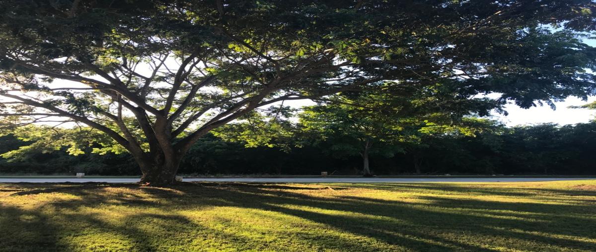 Foto de terreno habitacional en venta en  , yucatan, mérida, yucatán, 10984934 No. 01