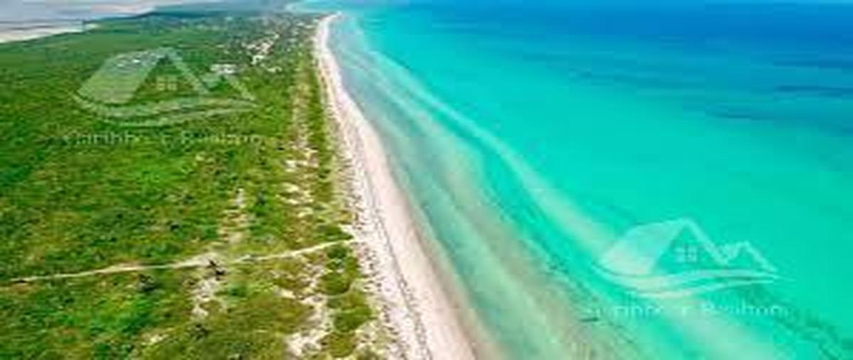 Foto de terreno habitacional en venta en  , yucatan, mérida, yucatán, 26866540 No. 03