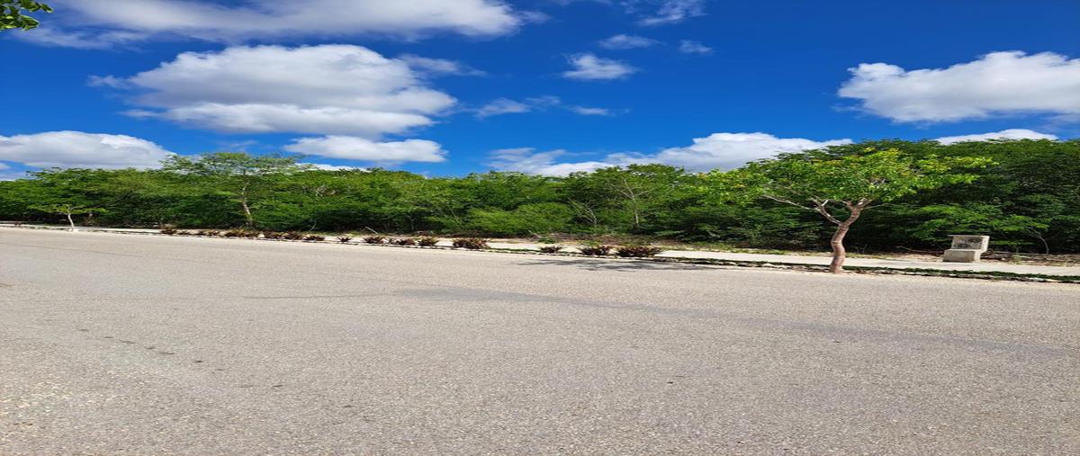 Foto de terreno habitacional en venta en  , yucatan, mérida, yucatán, 27854157 No. 03