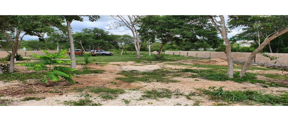 Foto de terreno habitacional en venta en  , yucatan, mérida, yucatán, 0 No. 05