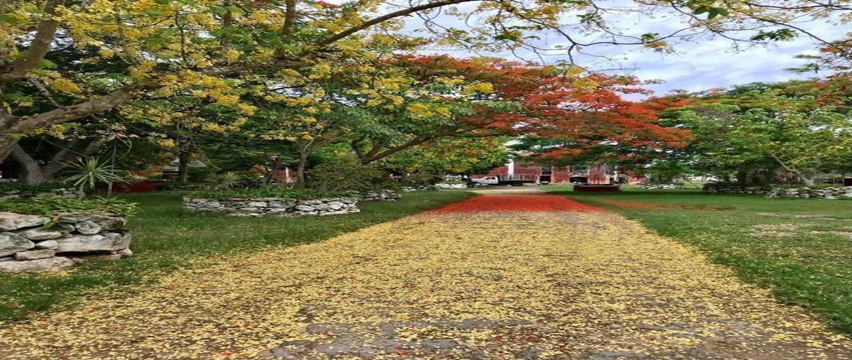 Foto de rancho en venta en  , yucatan, mérida, yucatán, 0 No. 01