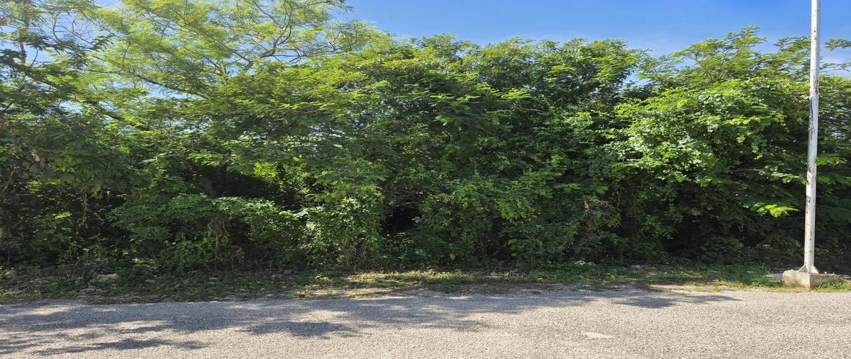Foto de terreno habitacional en venta en  , yucatan, mérida, yucatán, 0 No. 01