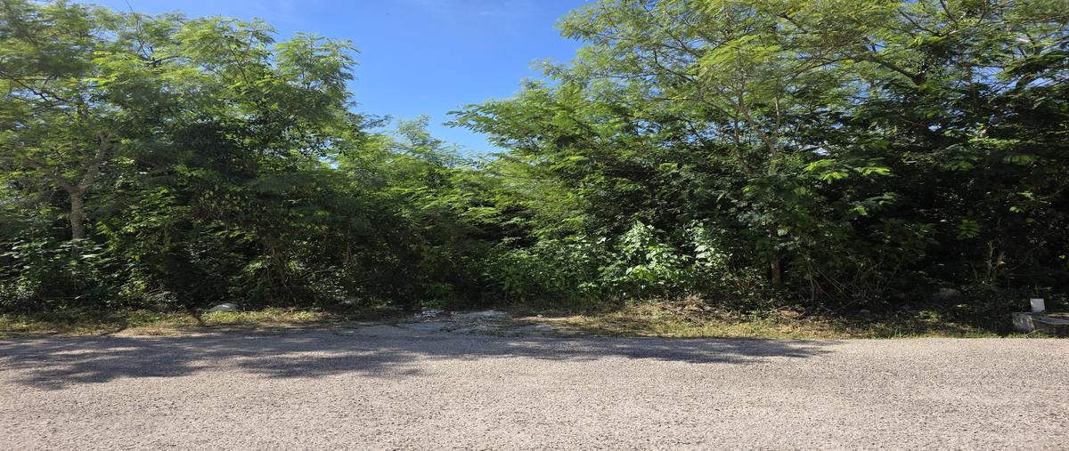 Foto de terreno habitacional en venta en  , yucatan, mérida, yucatán, 0 No. 02