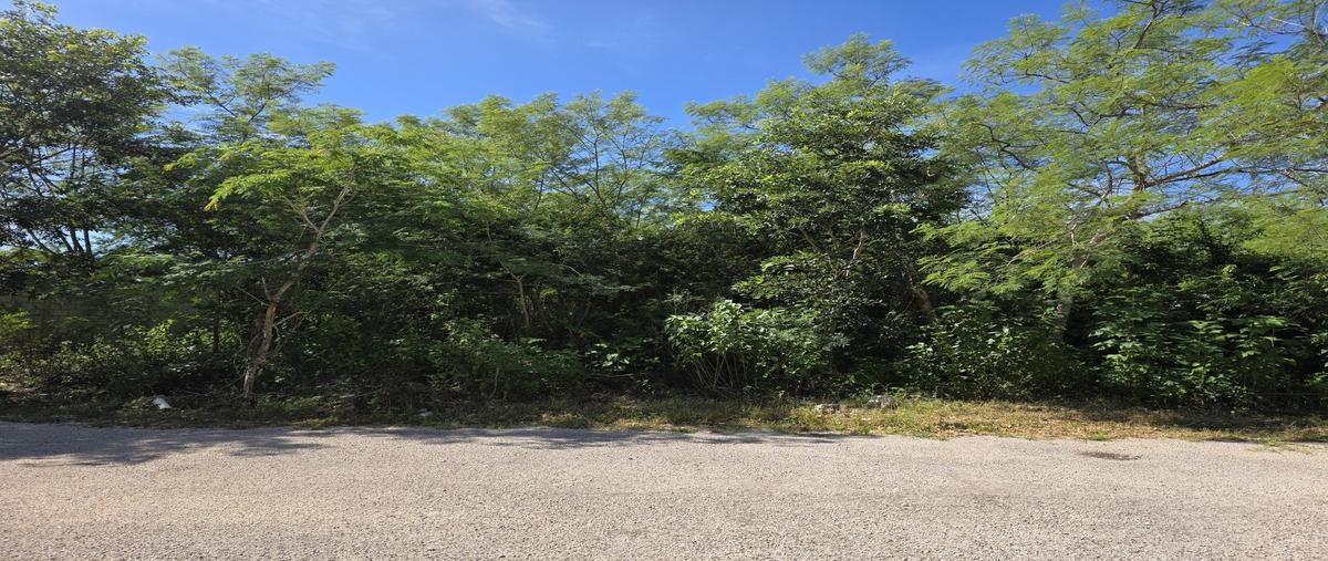 Foto de terreno habitacional en venta en  , yucatan, mérida, yucatán, 0 No. 03