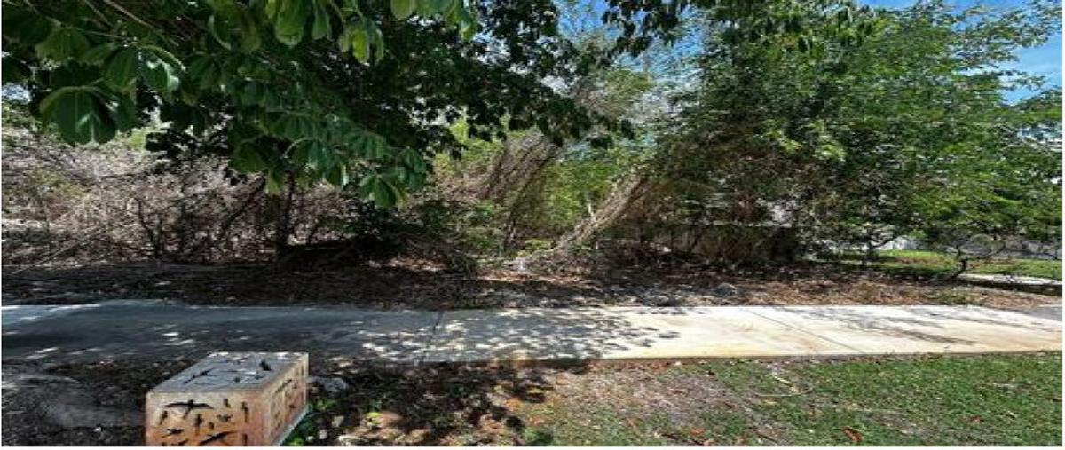 Foto de terreno habitacional en venta en  , yucatan, mérida, yucatán, 30356300 No. 03