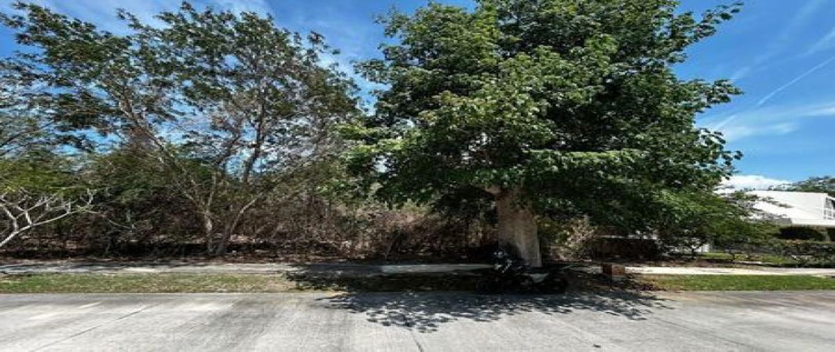 Foto de terreno habitacional en venta en  , yucatan, mérida, yucatán, 30356300 No. 04