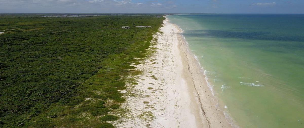 Foto de terreno habitacional en venta en yucatán , sisal, hunucmá, yucatán, 0 No. 03