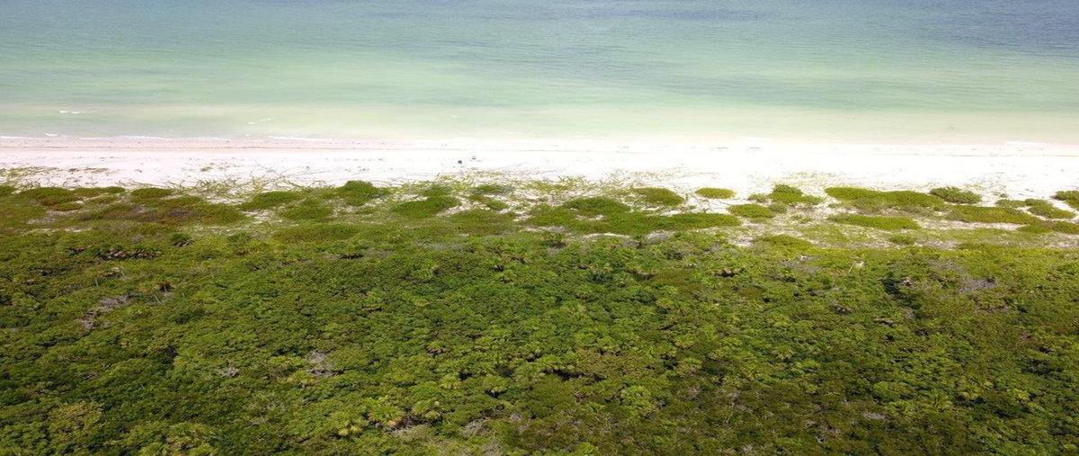 Foto de terreno habitacional en venta en yucatán , sisal, hunucmá, yucatán, 0 No. 04