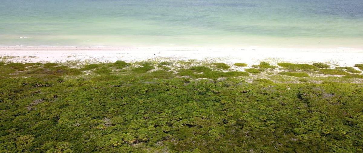 Foto de terreno habitacional en venta en yucatán , sisal, hunucmá, yucatán, 0 No. 05