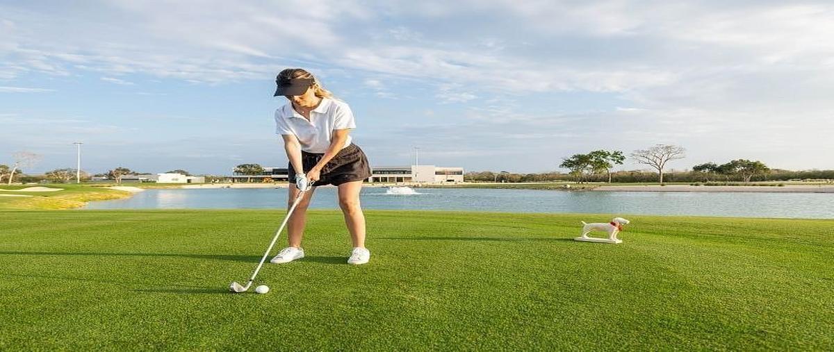 Foto de terreno habitacional en yucatán , tamanché, mérida, yucatán, 30907190 foto 05 Foto de terreno habitacional en venta en yucatán , tamanché, mérida, yucatán, 30907190 No. 05