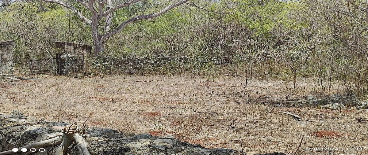 Foto de terreno habitacional en venta en yucatán , tekit, tekit, yucatán, 0 No. 03