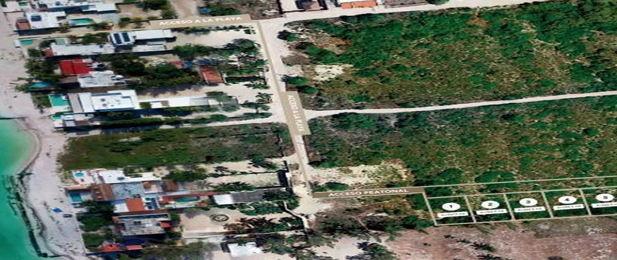 Foto de terreno habitacional en venta en yucatán , telchac puerto, telchac puerto, yucatán, 27578080 No. 05