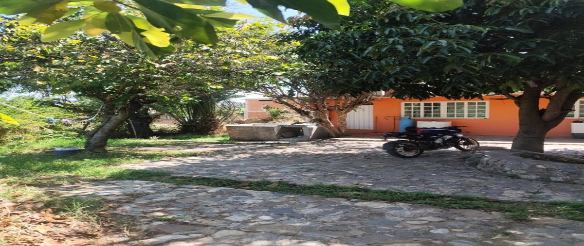 Foto de terreno habitacional en venta en  , yuteyito, san pablo huitzo, oaxaca, 0 No. 03